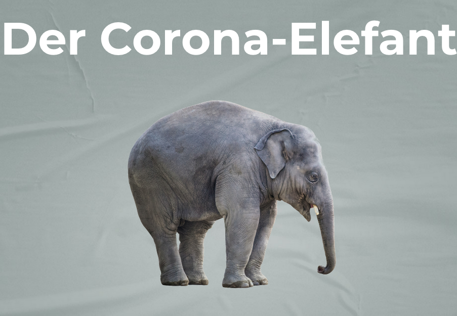 screenshot corona-elefant.ch